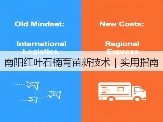 南阳红叶石楠育苗新技术|实用指南 南阳红叶石楠育苗新技术|实用指南