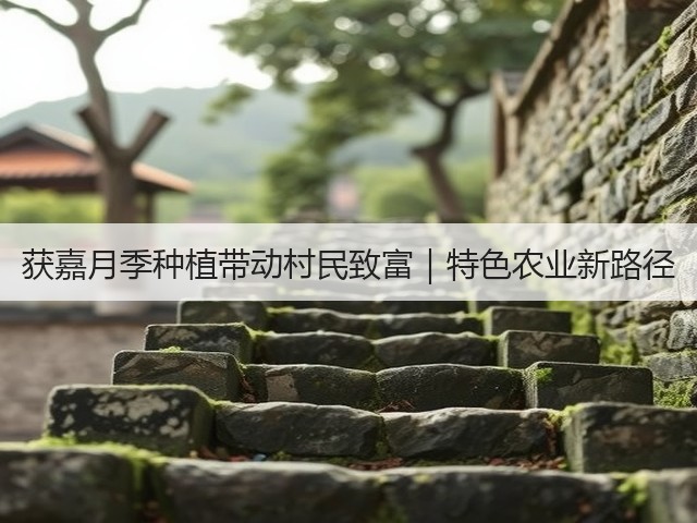 获嘉月季种植带动村民致富|特色农业新路径 获嘉月季种植带动村民致富|特色农业新路径