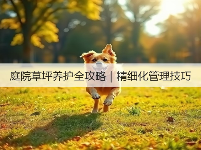 庭院草坪养护全攻略|精细化管理技巧 庭院草坪养护全攻略|精细化管理技巧