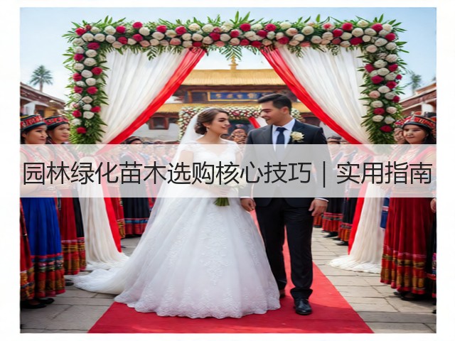 园林绿化苗木选购核心技巧|实用指南 园林绿化苗木选购核心技巧|实用指南