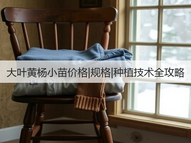 大叶黄杨小苗价格|规格|种植技术全攻略 大叶黄杨小苗价格|规格|种植技术全攻略