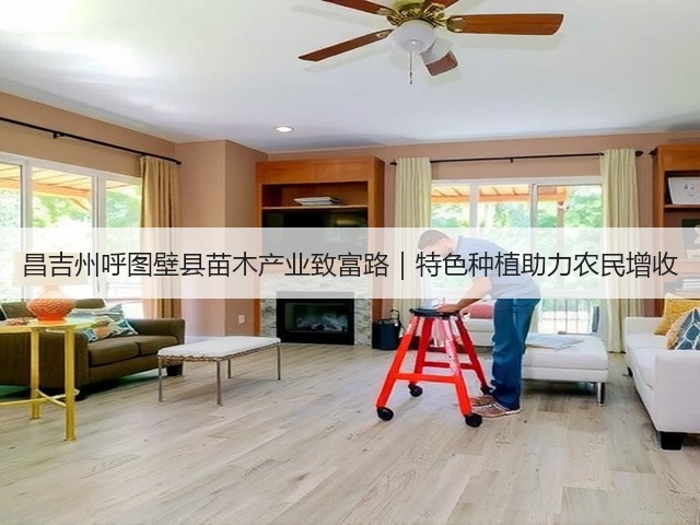 昌吉州呼图壁县苗木产业致富路|特色种植助力农民增收 昌吉州呼图壁县苗木产业致富路|特色种植助力农民增收