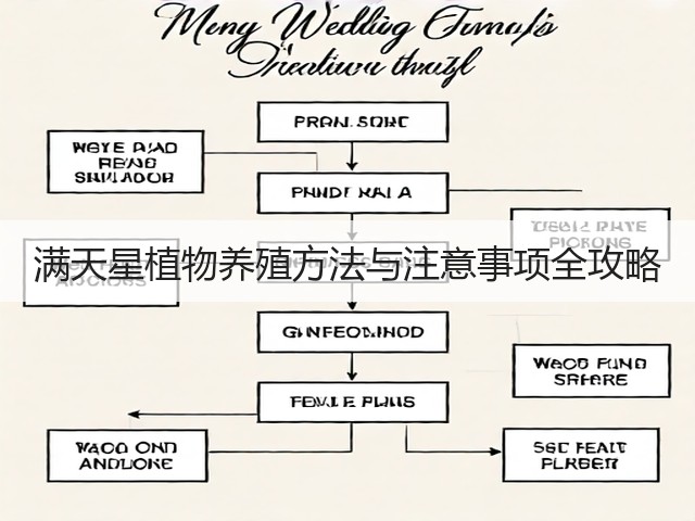 满天星植物养殖方法与注意事项全攻略