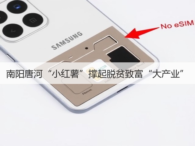南阳唐河“小红薯”撑起脱贫致富“大产业” 南阳唐河“小红薯”撑起脱贫致富“大产业”