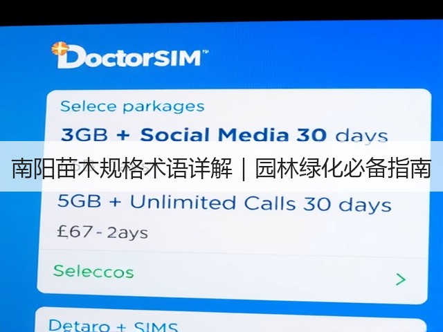 南阳苗木规格术语详解|园林绿化必备指南 南阳苗木规格术语详解|园林绿化必备指南