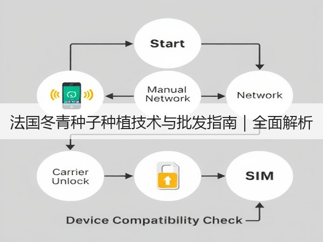 法国冬青种子种植技术与批发指南｜全面解析
