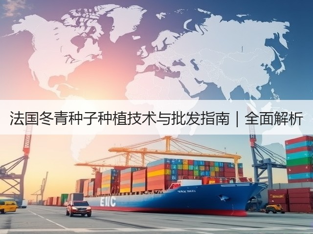 法国冬青种子种植技术与批发指南｜全面解析