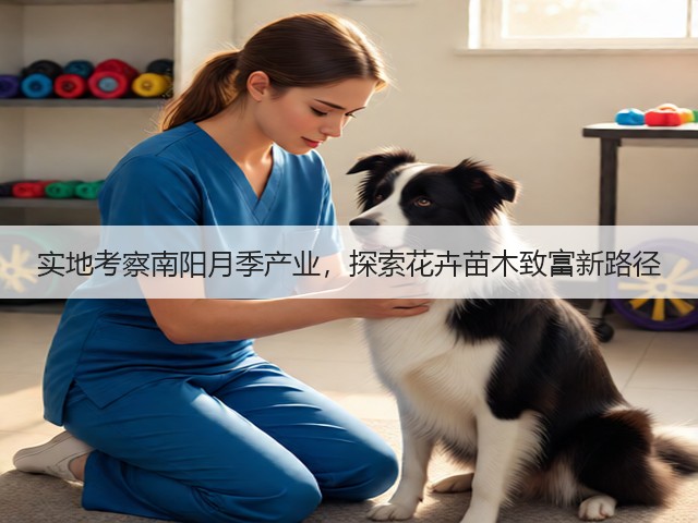 实地考察南阳月季产业,探索花卉苗木致富新路径 实地考察南阳月季产业,探索花卉苗木致富新路径