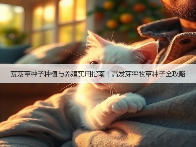 芨芨草种子种植与养殖实用指南｜高发芽率牧草种子全攻略