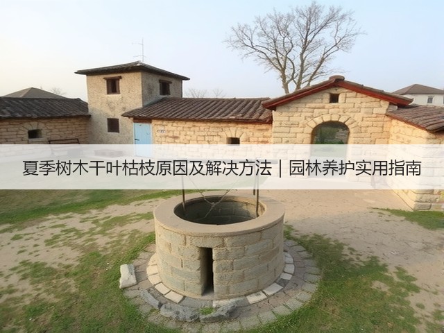 夏季树木干叶枯枝原因及解决方法|园林养护实用指南 夏季树木干叶枯枝原因及解决方法|园林养护实用指南
