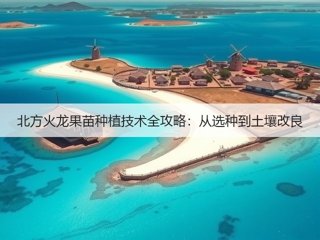 北方火龙果苗种植技术全攻略:从选种到土壤改良 北方火龙果苗种植技术全攻略:从选种到土壤改良