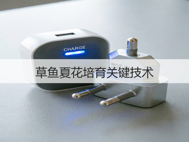 草鱼夏花培育关键技术 草鱼夏花培育关键技术