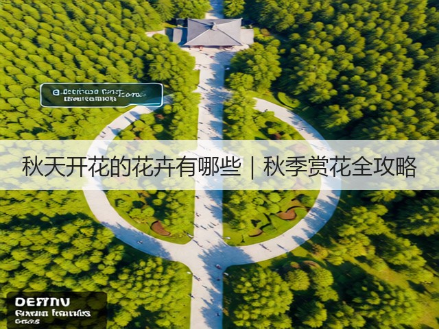 秋天开花的花卉有哪些|秋季赏花全攻略 秋天开花的花卉有哪些|秋季赏花全攻略