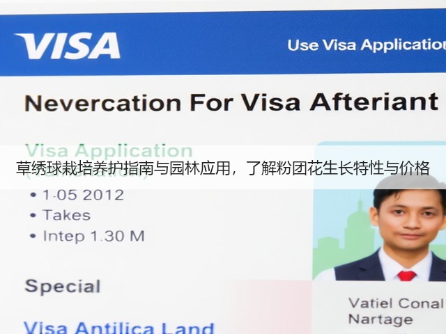 草绣球栽培养护指南与园林应用，了解粉团花生长特性与价格