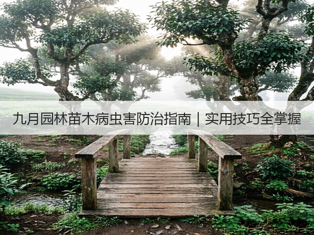 九月园林苗木病虫害防治指南｜实用技巧全掌握