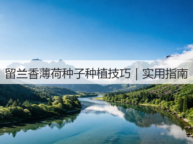 留兰香薄荷种子种植技巧｜实用指南