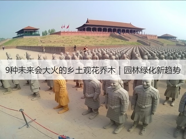 9种未来会大火的乡土观花乔木|园林绿化新趋势 9种未来会大火的乡土观花乔木|园林绿化新趋势