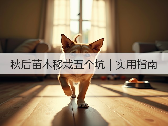 秋后苗木移栽五个坑|实用指南 秋后苗木移栽五个坑|实用指南