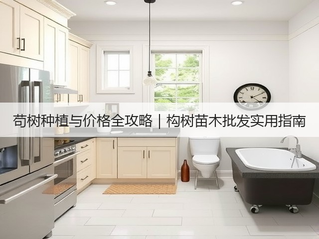 苟树种植与价格全攻略|构树苗木批发实用指南 苟树种植与价格全攻略|构树苗木批发实用指南
