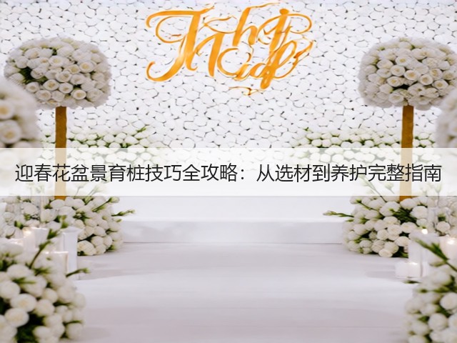 迎春花盆景育桩技巧全攻略：从选材到养护完整指南