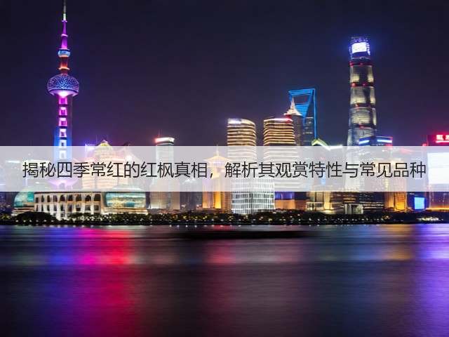 揭秘四季常红的红枫真相,解析其观赏特性与常见品种 揭秘四季常红的红枫真相,解析其观赏特性与常见品种