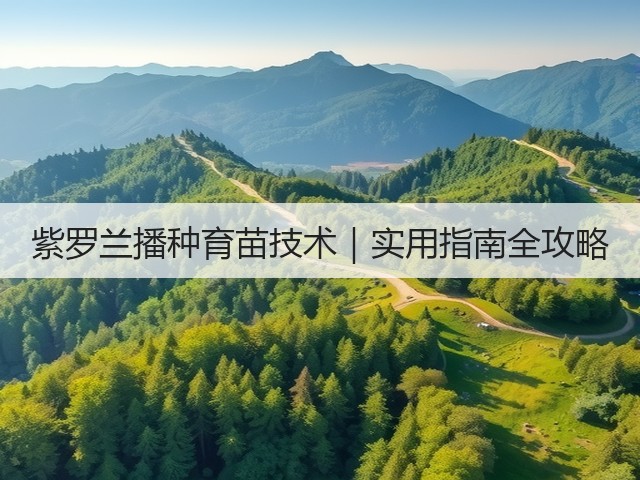 紫罗兰播种育苗技术|实用指南全攻略 紫罗兰播种育苗技术|实用指南全攻略