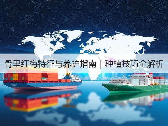 骨里红梅特征与养护指南｜种植技巧全解析