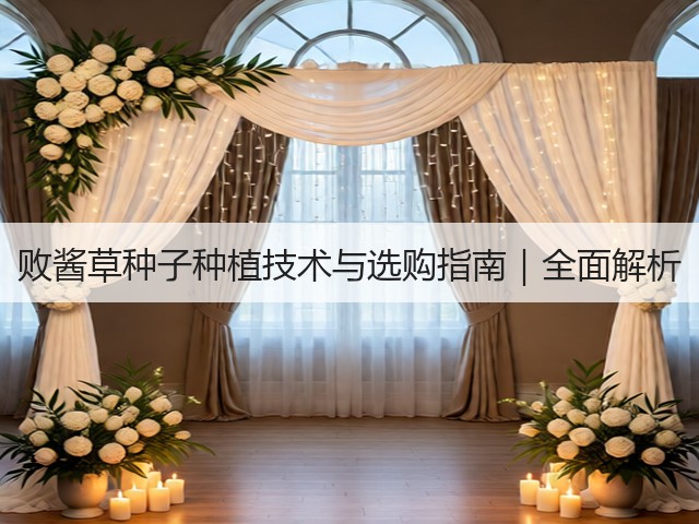 败酱草种子种植技术与选购指南｜全面解析