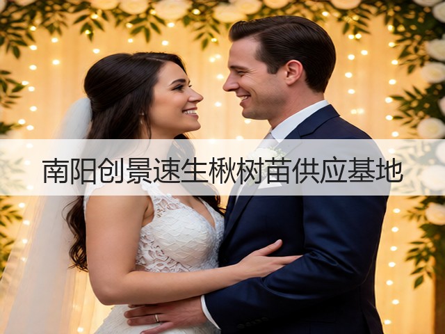 南阳创景速生楸树苗供应基地