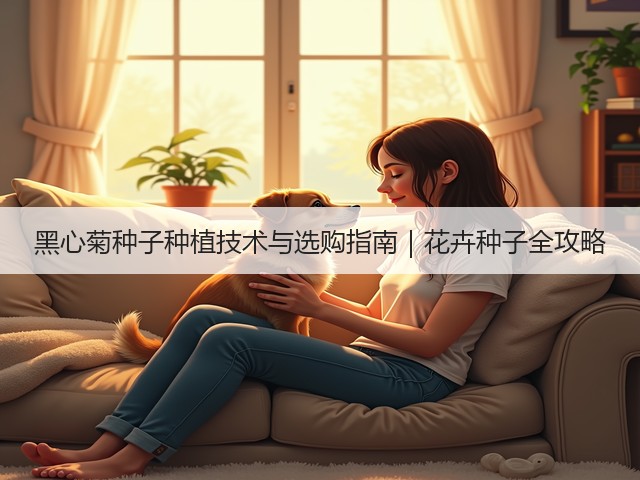 黑心菊种子种植技术与选购指南｜花卉种子全攻略