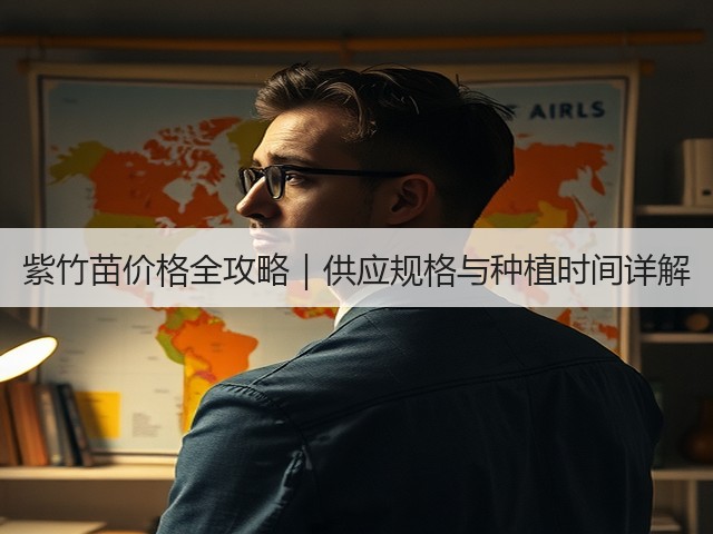 紫竹苗价格全攻略｜供应规格与种植时间详解
