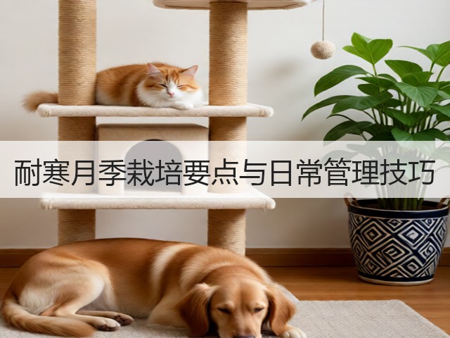 耐寒月季栽培要点与日常管理技巧 耐寒月季栽培要点与日常管理技巧