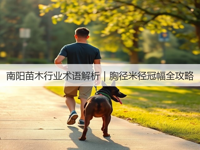 南阳苗木行业术语解析｜胸径米径冠幅全攻略