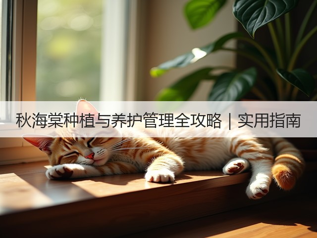 秋海棠种植与养护管理全攻略｜实用指南