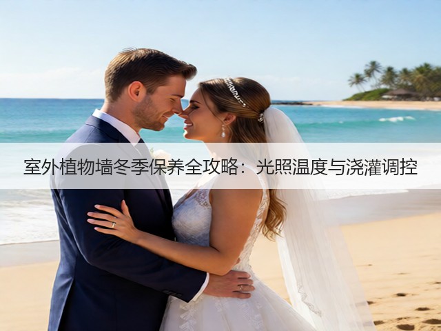 室外植物墙冬季保养全攻略：光照温度与浇灌调控