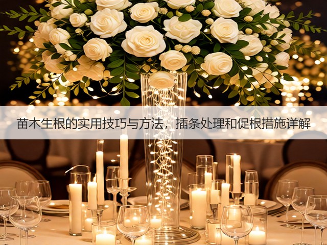 苗木生根的实用技巧与方法，插条处理和促根措施详解