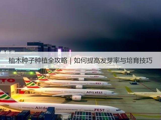 柚木种子种植全攻略｜如何提高发芽率与培育技巧