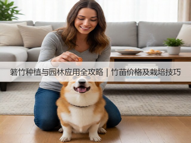 箬竹种植与园林应用全攻略|竹苗价格及栽培技巧 箬竹种植与园林应用全攻略|竹苗价格及栽培技巧