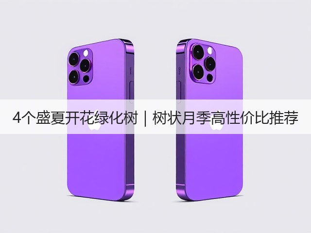 4个盛夏开花绿化树|树状月季高性价比推荐 4个盛夏开花绿化树|树状月季高性价比推荐