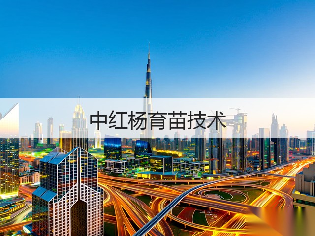 中红杨育苗技术 中红杨育苗技术