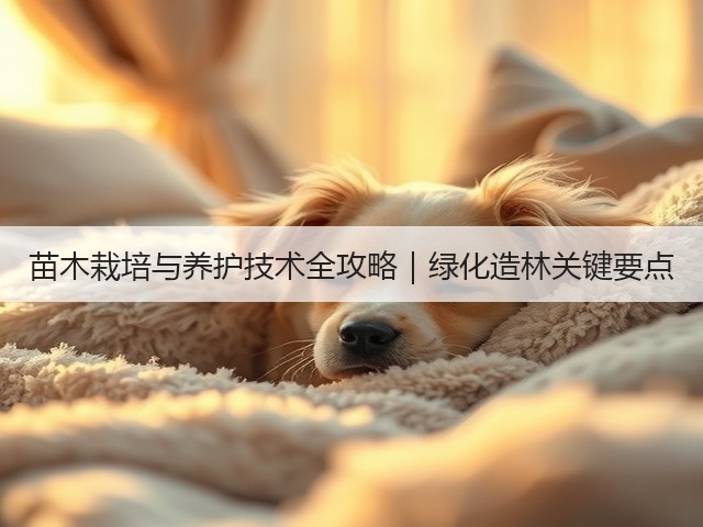 苗木栽培与养护技术全攻略|绿化造林关键要点 苗木栽培与养护技术全攻略|绿化造林关键要点