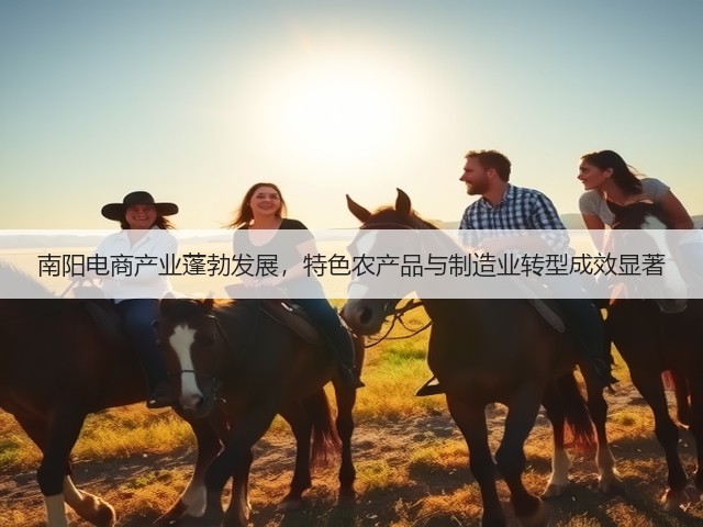 南阳电商产业蓬勃发展，特色农产品与制造业转型成效显著