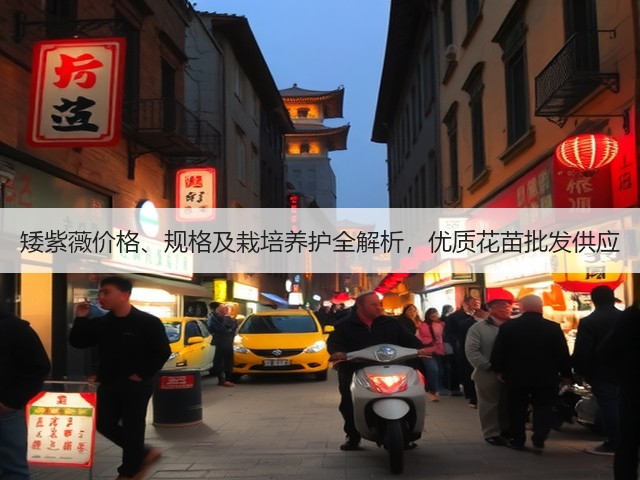 矮紫薇价格、规格及栽培养护全解析,优质花苗批发供应 矮紫薇价格、规格及栽培养护全解析,优质花苗批发供应
