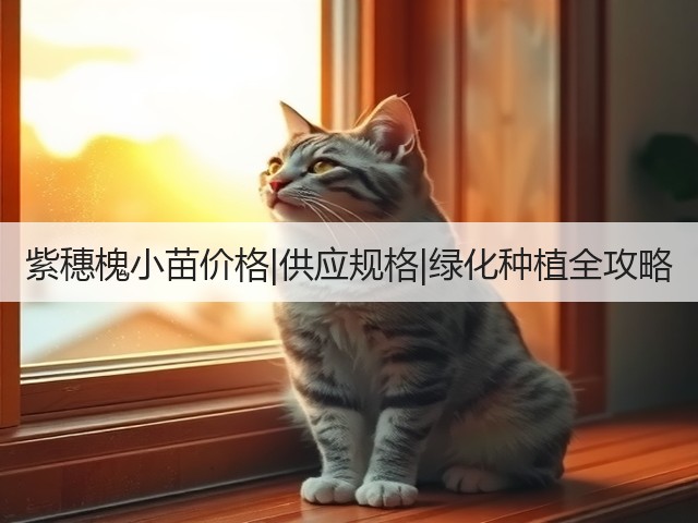 紫穗槐小苗价格|供应规格|绿化种植全攻略