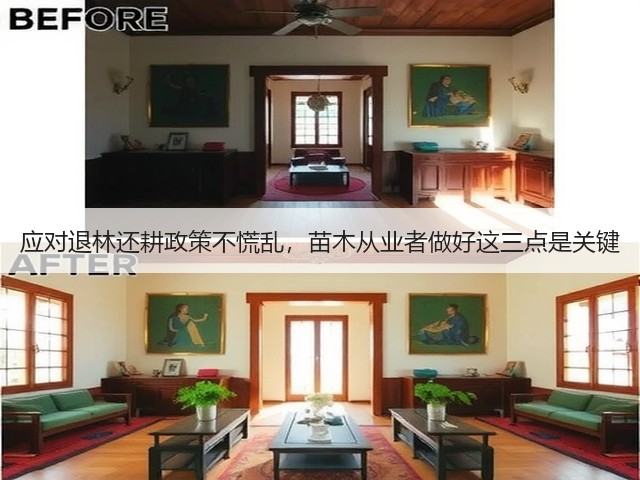 应对退林还耕政策不慌乱,苗木从业者做好这三点是关键 应对退林还耕政策不慌乱,苗木从业者做好这三点是关键