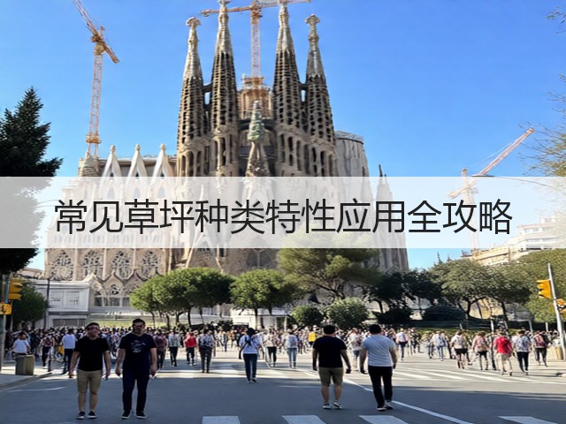 常见草坪种类特性应用全攻略