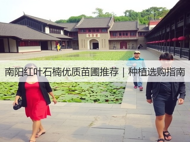 南阳红叶石楠优质苗圃推荐|种植选购指南 南阳红叶石楠优质苗圃推荐|种植选购指南