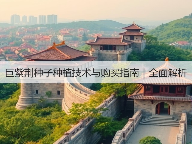 巨紫荆种子种植技术与购买指南｜全面解析