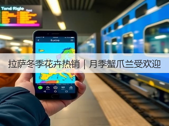 拉萨冬季花卉热销|月季蟹爪兰受欢迎 拉萨冬季花卉热销|月季蟹爪兰受欢迎