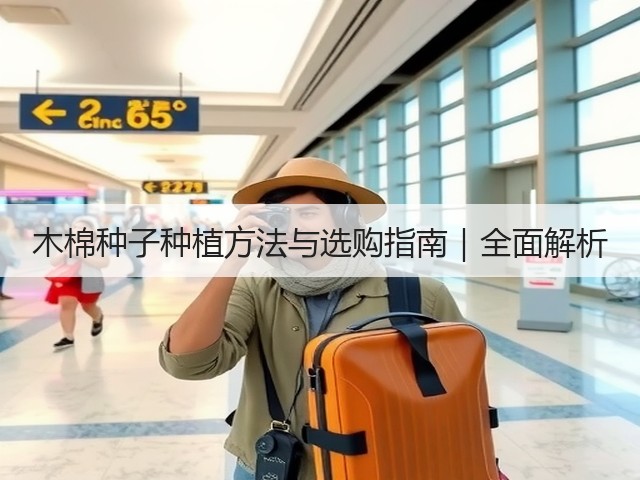 木棉种子种植方法与选购指南｜全面解析